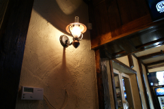 SONY DSC